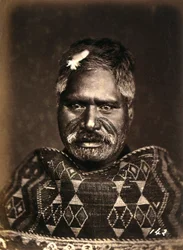 Portræt af en maori med tatoveret ansigt, ca.1886-88